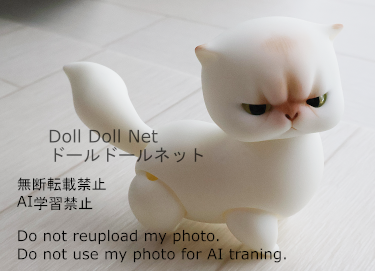 猫ドールのニャミ